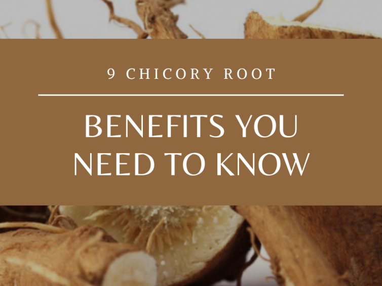9 Chicory Root Benefits