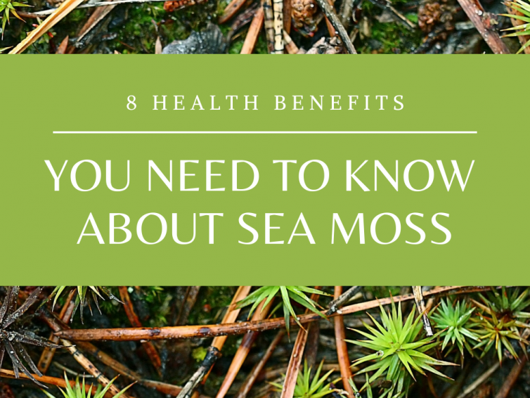 8 Incredible Sea Moss Benefits